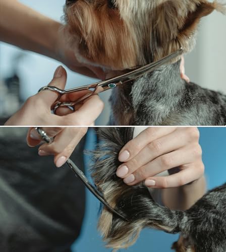Dog Grooming Curved Scissors 7 inch Professional Pet Shears Made Of Japanese - Image 5