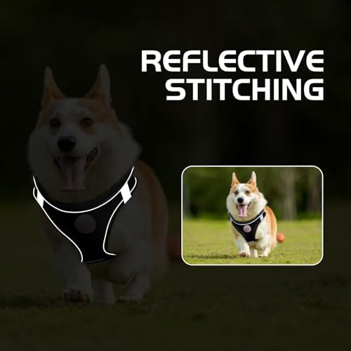 Soft Mesh Dog Harness and Leash Set, No Pull Puppy Harness and Leash Set - Image 6