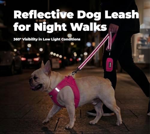 Best Pet Supplies Voyager Nylon Dog Leash - Image 4