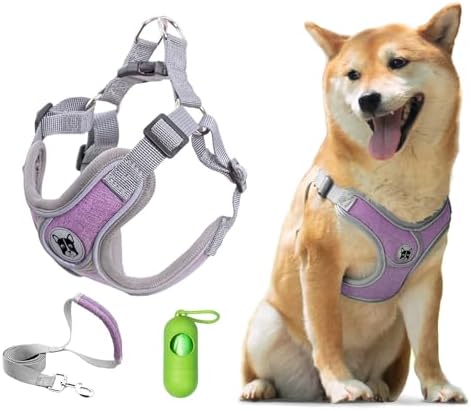 Patas Lague Dog Harness with Leash Set by PatasLague