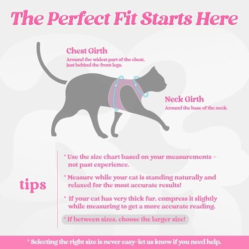 rabbitgoo Cat Harness and Leash Set, Step-in Soft Vest - Image 2