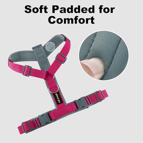 Plutus Pet No Pull Dog Harness, Adjustable Nylon Harness - Image 3