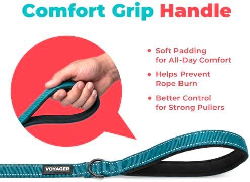 Best Pet Supplies Voyager Nylon Dog Leash - 6ft Turqioise - Image 5