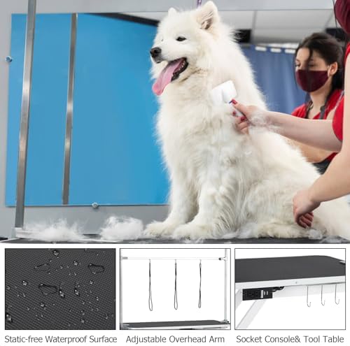 47in Electric Dog Grooming Table - Image 7