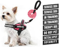 Service Dog Vest Harness and Leash Set, Animire in Training Dog Harness by Animire