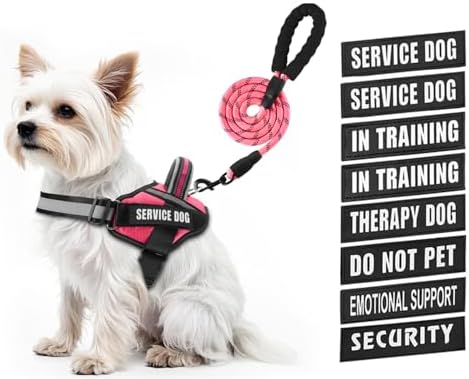 Service Dog Vest Harness and Leash Set, Animire in Training Dog Harness by Animire