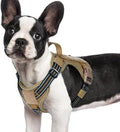 rabbitgoo Tactical Dog Harness for Small Dogs, No Pull Service Pet Vest by rabbitgoo