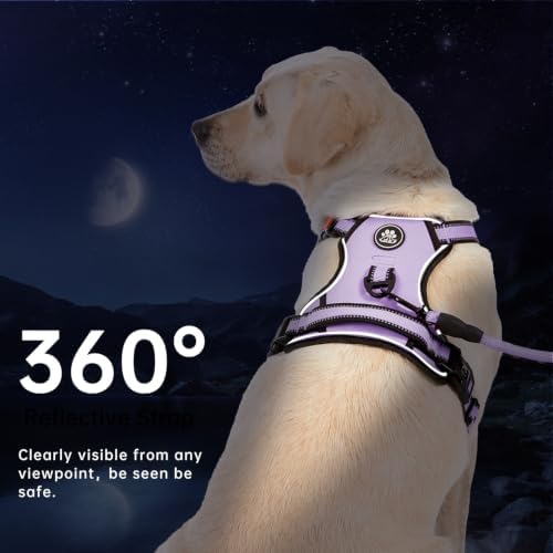 IVY&LANE No Pull Dog Harness for Small Dogs, Reflective Dog Vest Harness - Image 6