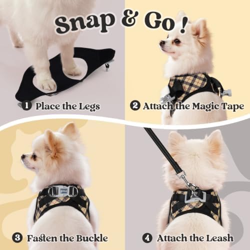 rabbitgoo Dog Harness Small Sized and Leash Set, Step in Soft Vest - Image 2