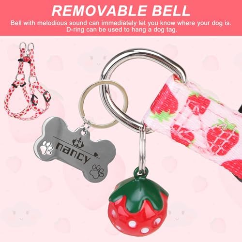 BEAUTYZOO Dog Harness Small Sized Dog Girl, No Pull Dog Harness and Leash Set - Image 4