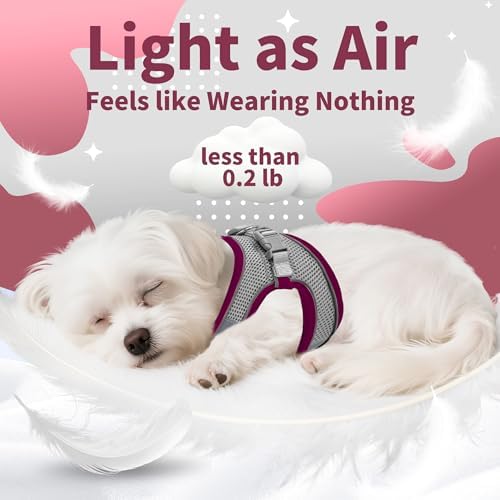 AIITLE Dog Harness and Leash Set, Step-in Puppy Pet Vest, Burgundy XXXS - Image 5