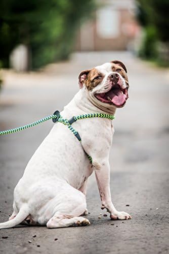 Harness Lead No Pull Dog Harness and Leash Set, Anti Pull Dog Harness, - Image 2