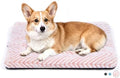 Mora Pets Dog Crate Pad Washable Puppy Dog Bed by MoraPets