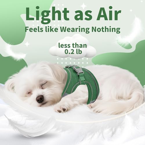 AIITLE Medium Dog Harness and Leash Set, Step-in Puppy Pet Vest - Image 5