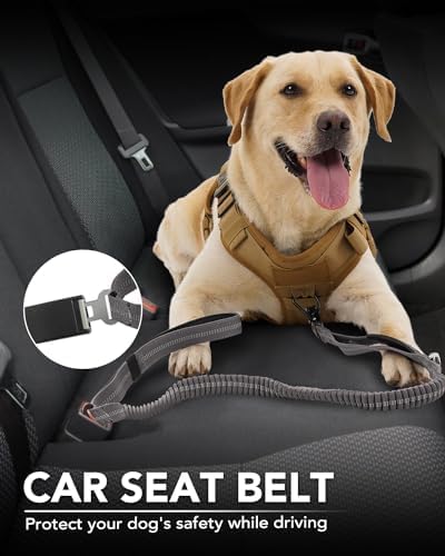 Joytale Tactical Bungee Dog Leash, Shock Absorbing No Pull - Image 5