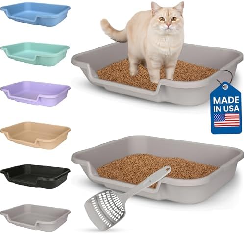 KittyGoHere Senior Cat Litter Box Large by NE14pets