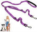 Double Leash for Two Dogs, No Tangle Bungee Dog Leash by Sucegi