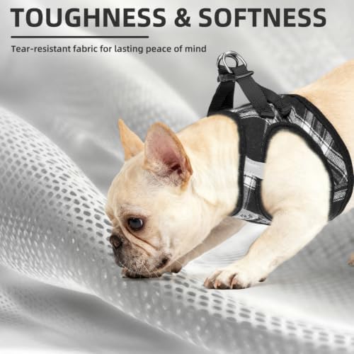 PUPTECK Dog Harness, Collar and Leash Set No Pull - Image 6