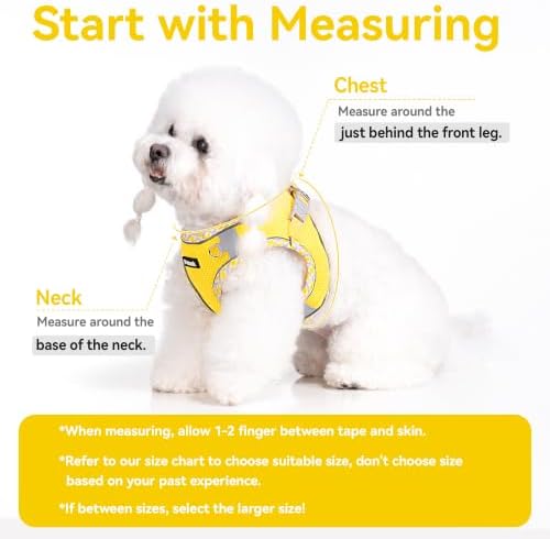Petank Step in Dog Harness No Pull and Leash - Image 4