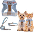 PUPTECK Dog Harness, Collar and Leash Set No Pull by PUPTECK