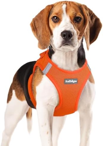 rabbitgoo Step-in Small Dog Harness, Puppy Vest by rabbitgoo