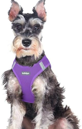 rabbitgoo Step-in Small Dog Harness, Puppy Vest by rabbitgoo