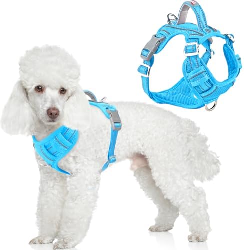 BARKBAY Dog Harness No Pull by BARKBAY