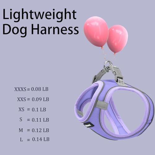 Solmoony Sparkly XS Dog Harness and Leash Set, Step in Soft Light Puppy Vest - Image 5