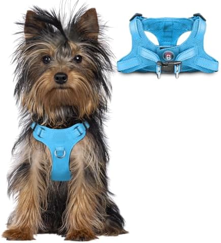 BARKBAY Small Dog Harness, No Pull Puppy Harness, Step-in Dog Vest by BARKBAY