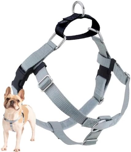 2 Hounds Design Freedom No Pull Dog Harness, 1 inch MD by 2HoundsDesign
