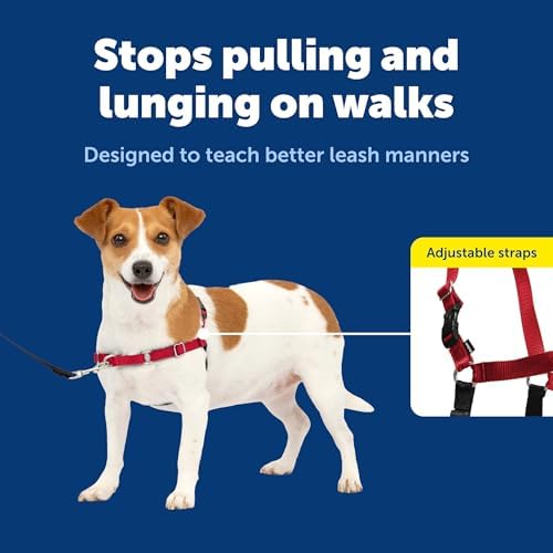 PetSafe Easy Walk Harness, No Pull Dog Harness - Image 3