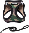 Voyager Step-in Air Cat Harness & Leash Set by BestPetSuppliesLLC