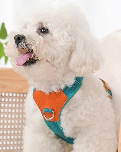 Blue Small Dog Harness for Small Dogs, No Pull Dog Harness - Image 2