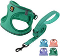 BELLA & PAL Step in Puppy Harness and Leash Set by BELLAPAL