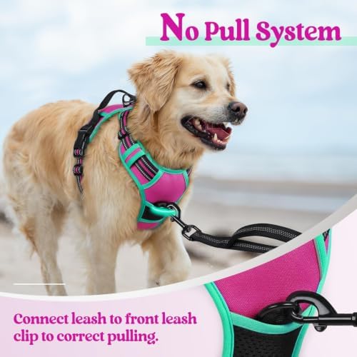 rabbitgoo Dog Harness, No Pull for Large Dogs - Image 5