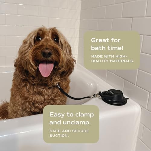 Pupwell Stay in Place and Heavy Duty Suction Cup Dog Leash to Keep Them in Place - Image 5