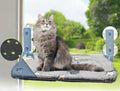 Foldable Cat Hammock for Window Glow in The Dark Cordless Cat Window Perch for by Petotw