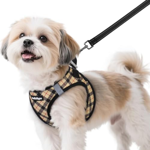 rabbitgoo Dog Harness Small Sized and Leash Set, Step in Soft Vest by rabbitgoo