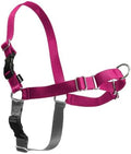 PetSafe Easy Walk Harness, No Pull Dog Harness by PetSafe