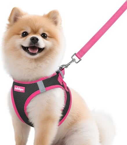 rabbitgoo Dog Harness Small Sized and Leash Set, Step in Soft Vest by rabbitgoo