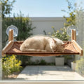 JKXJKX Foldable Cat Window Perch by Unknown
