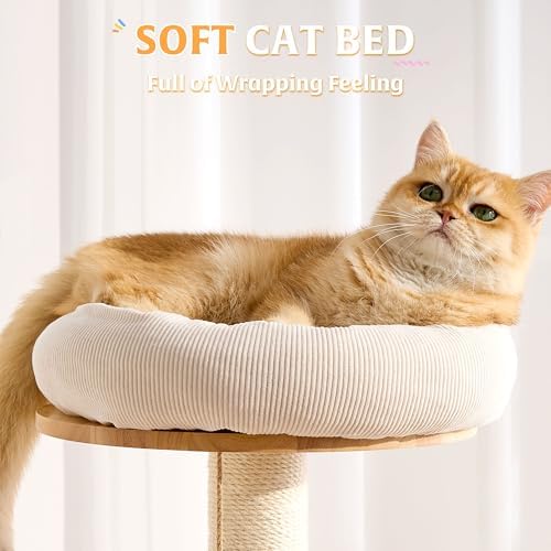 HITTITE Solid Wood Cat Tree Tower - Image 5