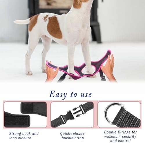 Comfort fit Step-in Dog & Puppy Harness - Image 6