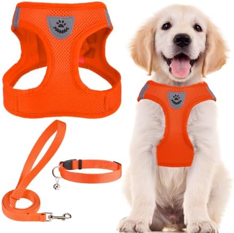 PUPTECK Dog Harness, Collar and Leash Set No Pull by PUPTECK