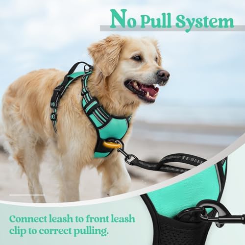 rabbitgoo Dog Harness, No Pull for Large Dogs - Image 5