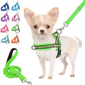 Lukovee Small Dog Harness and Leash Set, No Pull Soft Padded Vest by Lukovee