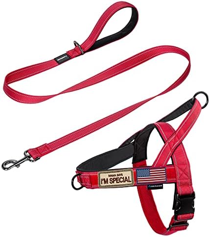 Annchwool No Pull Dog Harness+5 Ft Leash by Annchwool