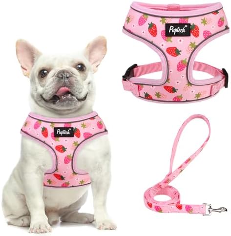PUPTECK Small Dog Harness and Leash Set No Pull by PUPTECK