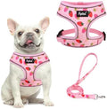 PUPTECK Small Dog Harness and Leash Set No Pull by PUPTECK