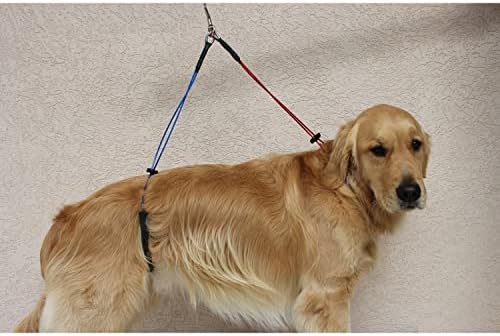 Downtown Pet Supply No Sit Haunch Holder - Image 3